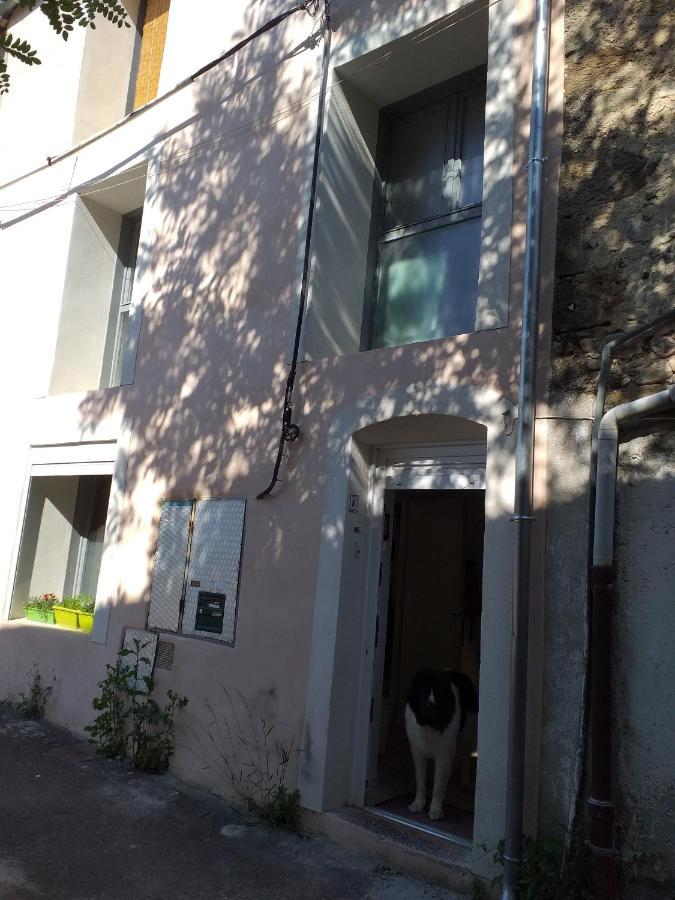 La Maison D Annick Apartment Lodeve Luaran gambar